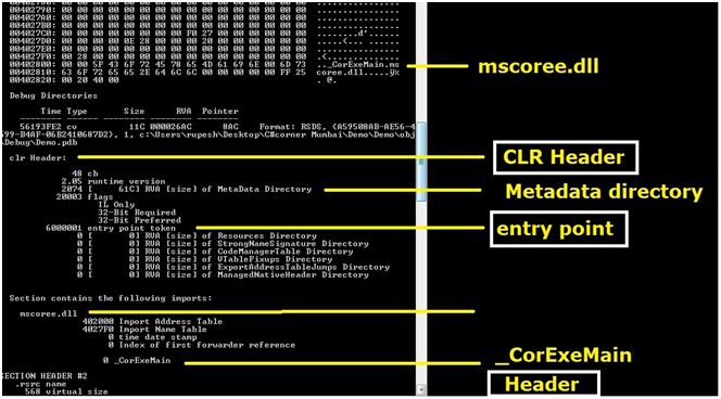 contains some sections